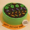 Farming theme cake from Sweet Cakery with green cream icing, edible soil topping, fondant carrots, cabbages, and brinjals, plus custom birthday message on board