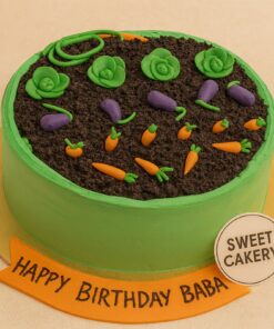 Farming theme cake from Sweet Cakery with green cream icing, edible soil topping, fondant carrots, cabbages, and brinjals, plus custom birthday message on board