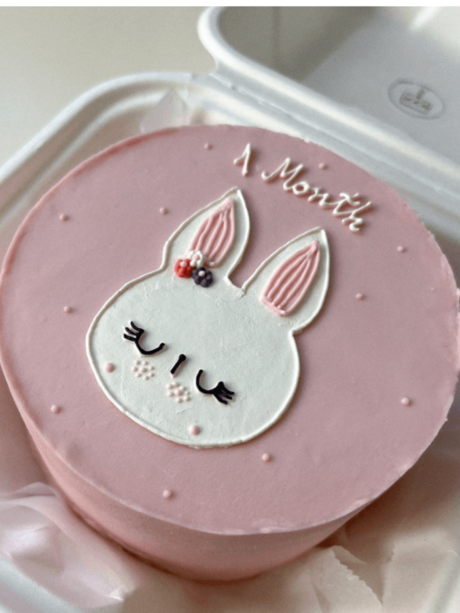 1 Month bento cake
