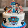 Paw Patrol with Ryder snd his friends !