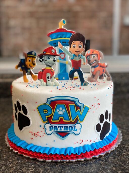Paw Patrol with Ryder snd his friends !