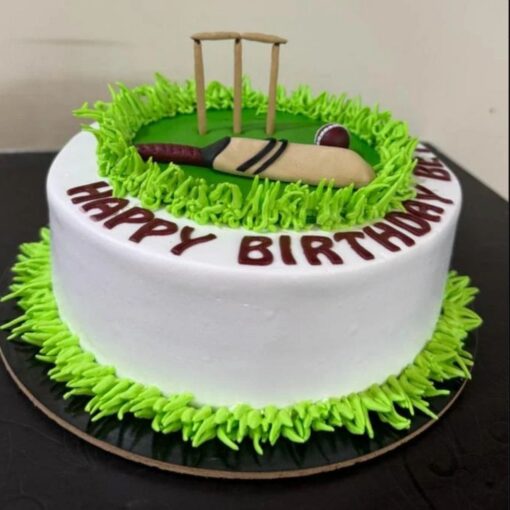 Cricket cake with bat and ball