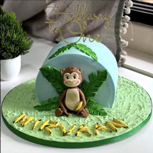 Halfway to one year birthday Cake